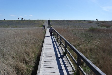 st-peter-ording