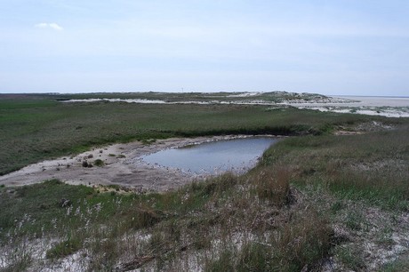 st-peter-ording