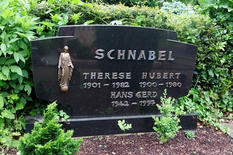 Stommeln