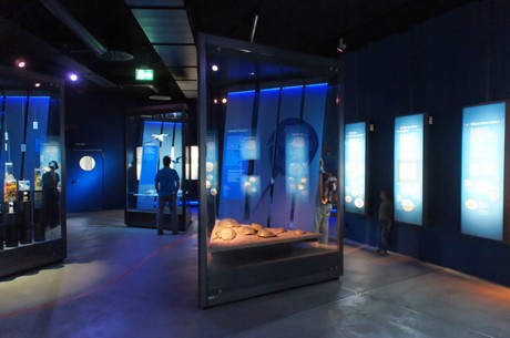 stralsund-ozeaneum