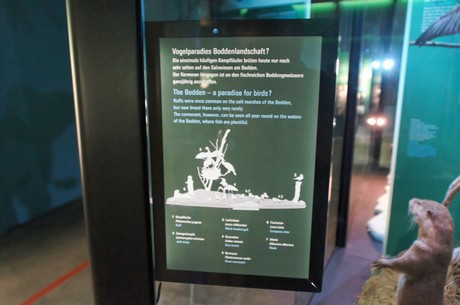 stralsund-ozeaneum