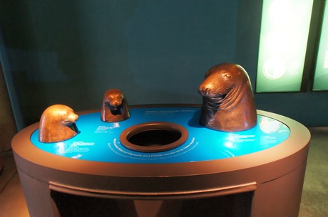 stralsund-ozeaneum