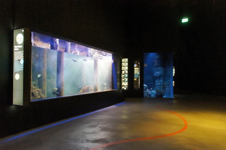 stralsund-ozeaneum