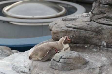 stralsund-ozeaneum