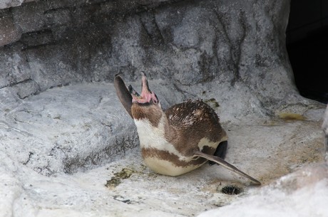 stralsund-ozeaneum