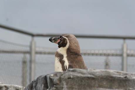 stralsund-ozeaneum