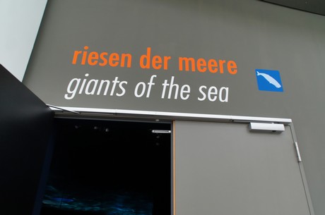 stralsund-ozeaneum