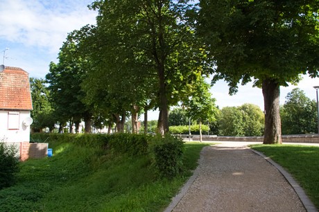 Tauberbischofsheim