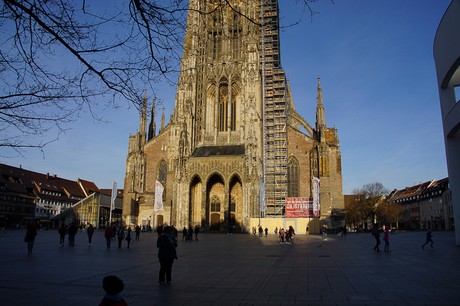 ulm
