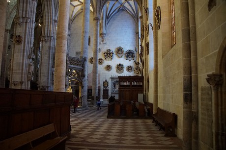 ulm