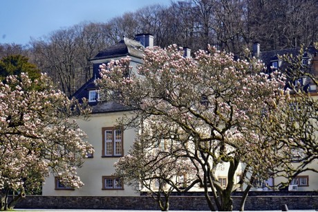 Vilkerath