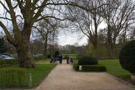 Westerholt