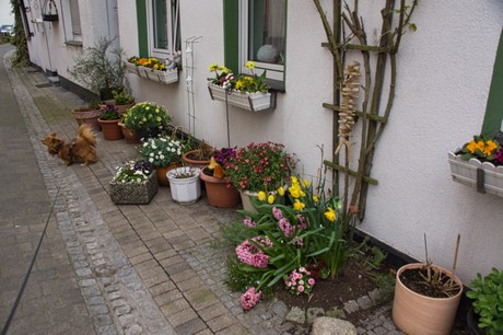 Westerholt