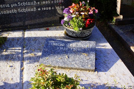 Widdig