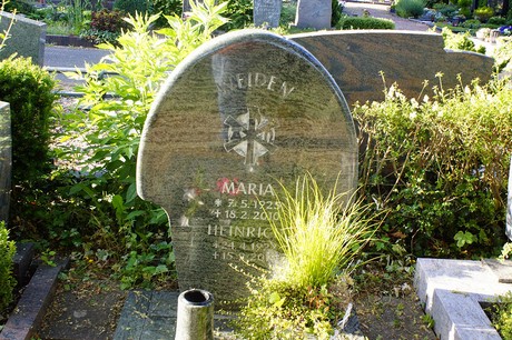Widdig