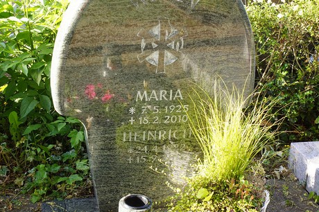 Widdig