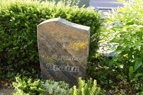 Widdig