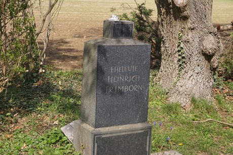 Witterschlick