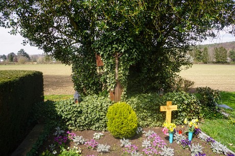 Witterschlick