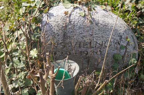 Witterschlick