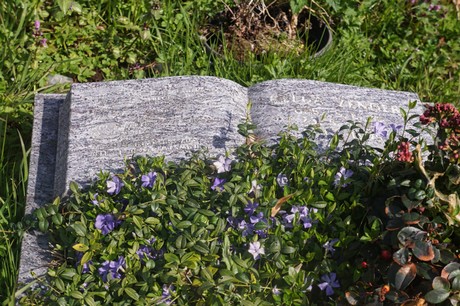 Witterschlick