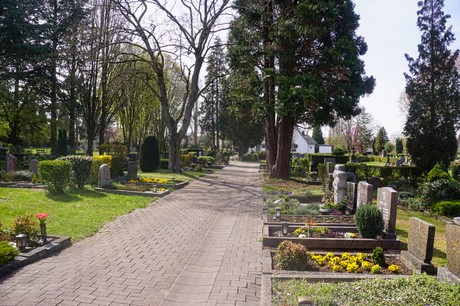 Witterschlick