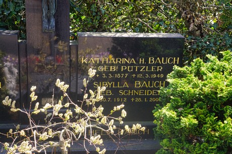 Witterschlick