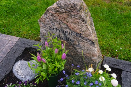 Witterschlick