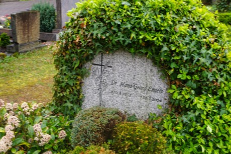 Witterschlick
