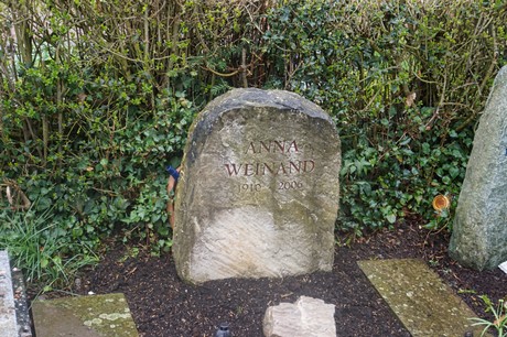 Witterschlick