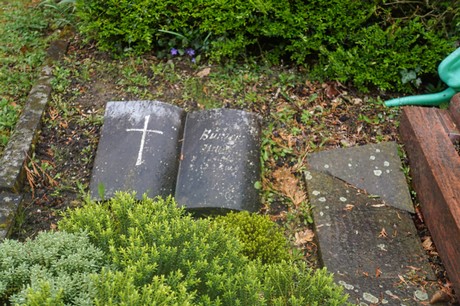 Witterschlick