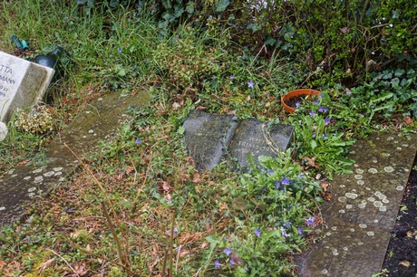 Witterschlick
