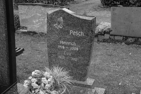 Witterschlick