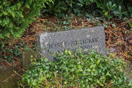 Witterschlick