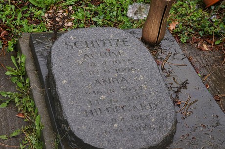 Witterschlick