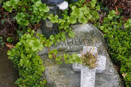 Witterschlick