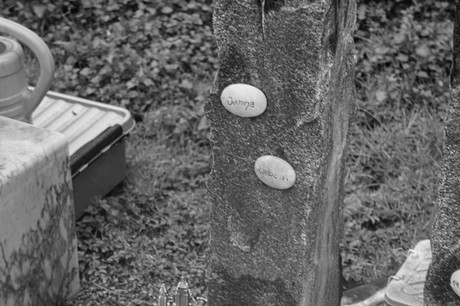 Witterschlick
