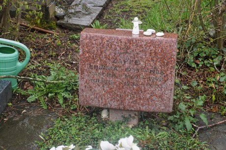 Witterschlick