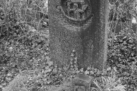 Witterschlick
