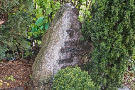 Witterschlick