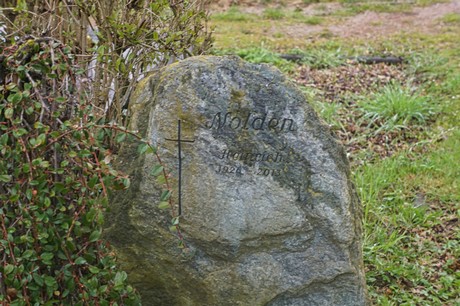 Witterschlick