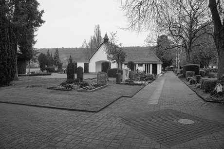 Witterschlick