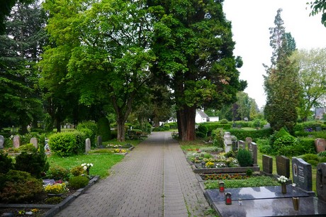 Witterschlick