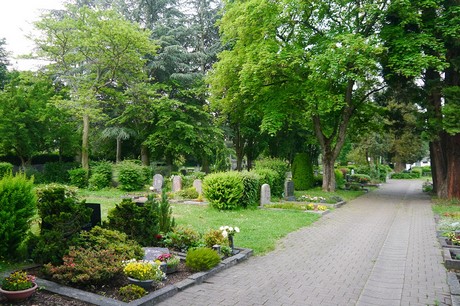 Witterschlick
