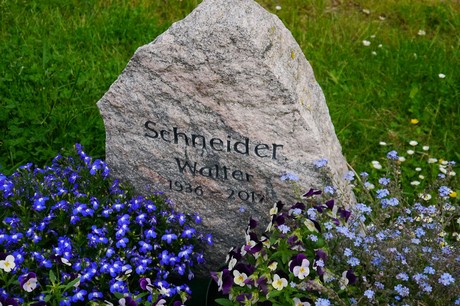 Witterschlick