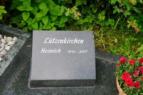 Witterschlick