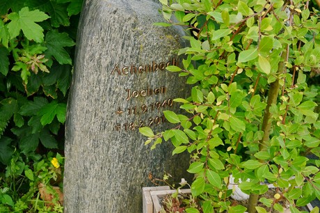 Witterschlick