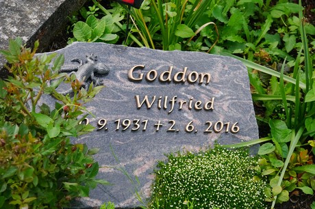Witterschlick
