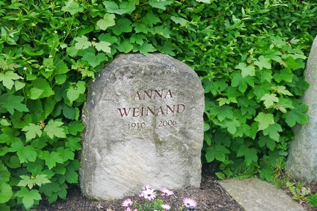 Witterschlick