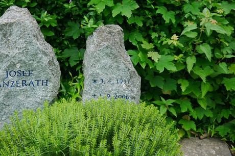 Witterschlick
